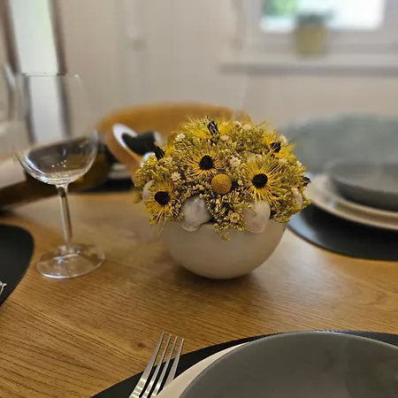 Apartman Apartma Vint *