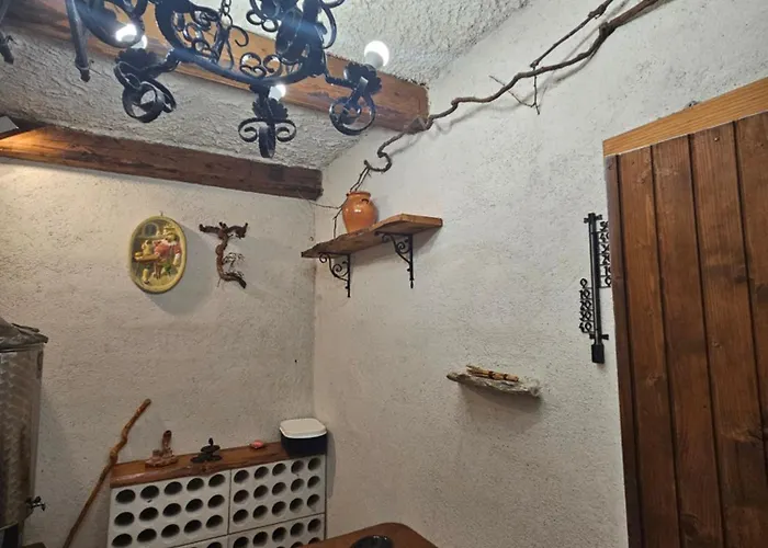 Appartamento Apartma Vint